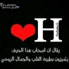 user448160055