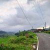 thislanang3