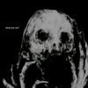 sans04972