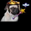 instantkarma2123