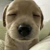 kthu_cute
