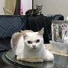 faryfadhil_m1