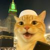 salman.alfarisi770
