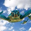 TortugaMarítima