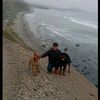 los_chutos_dogs