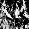 venomames