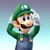 real_luigi_01