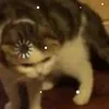 aldrelflaguiwa