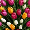baqyt_dulat_06.06.2024