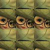 xyy_snb