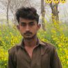 sanwalsardar240