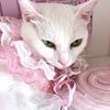 snow_fur_princess