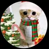 chrismastpuddingcat