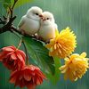 khin.khin5637