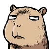 dukawh