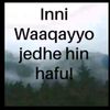 lema.teshome08