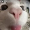 hi_olaaaa