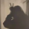 alina.lii_