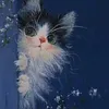 08th11_0nly