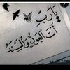 user94978471096020