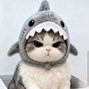 princessrhn8