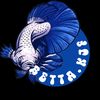betta_kjf2
