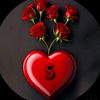 muhammad.shoaib944
