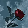 user8713952746925