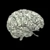 moneybrain.co