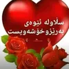 user74165917603363
