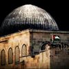 mohammed.habib959