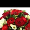 user2368144539156