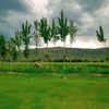 sohailafridi588