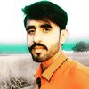 ranaarshad8147