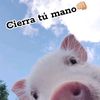 ezequielzenteno92