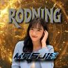 msjie_op