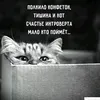 iyunckaya22
