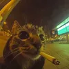 revnost_1337