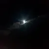 ggggw433