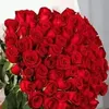 mahmwd.koye
