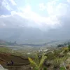 guilaicamxuc