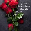 nawal.zaki2