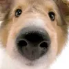hxzeryic