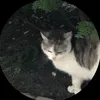 myig._us