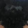 paquinossauro