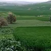 hosamohaohamed8