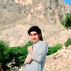 hameedullah3134