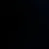 seeffg19
