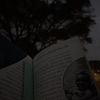 bookloverevaluator