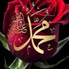 sessiz_kalp123